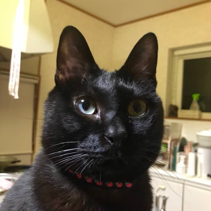 12769baf 44e6 49a5 a1f7 5e9588a37cb4 1553345658478