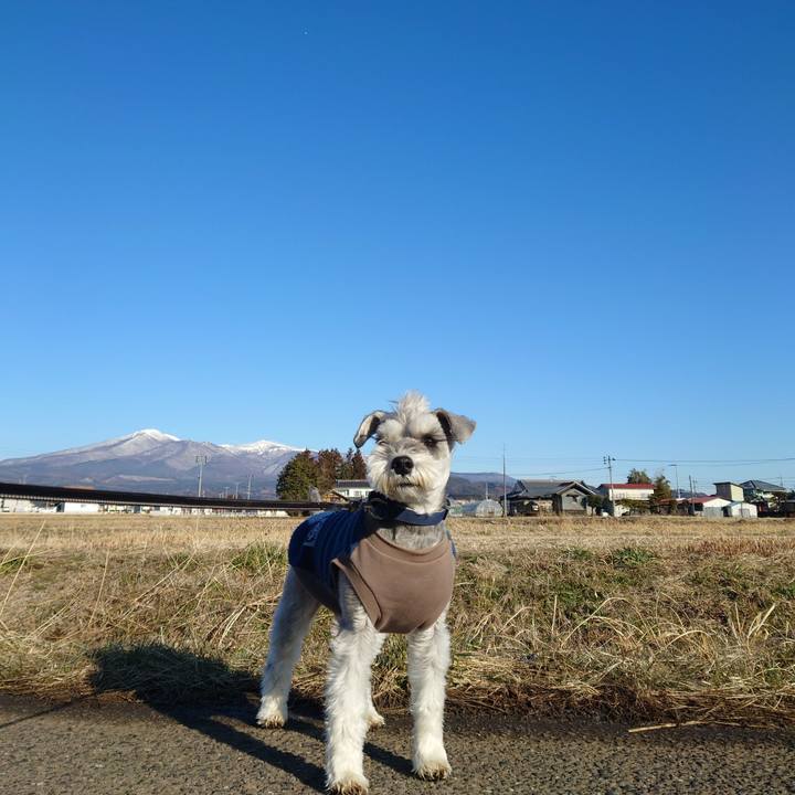 1276d43a c526 4b2e b3ee 768add772200 1773184166694