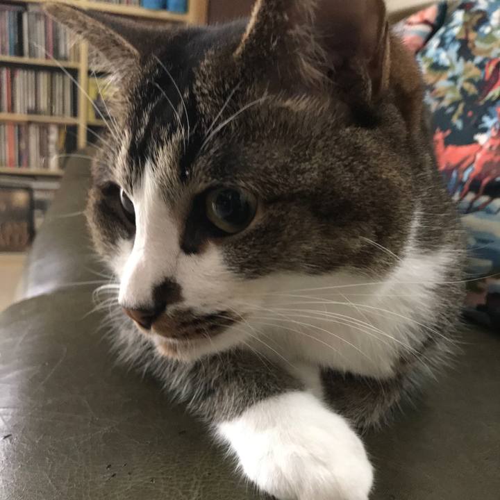 1276d891 8b50 495b 8d2e 732325778211 1563158546427