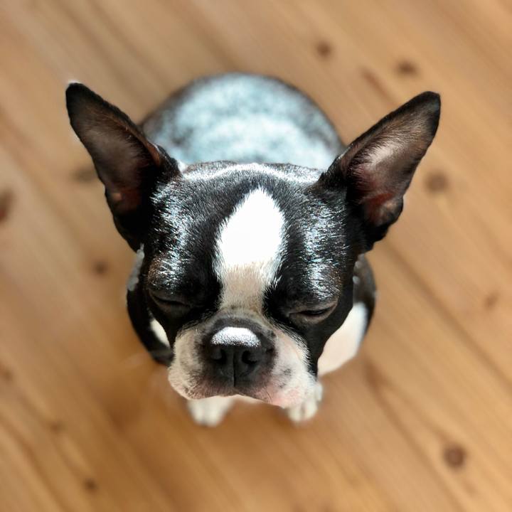 1276f6f3 f127 40db a0c9 91b456bd6a1d 1512348776430