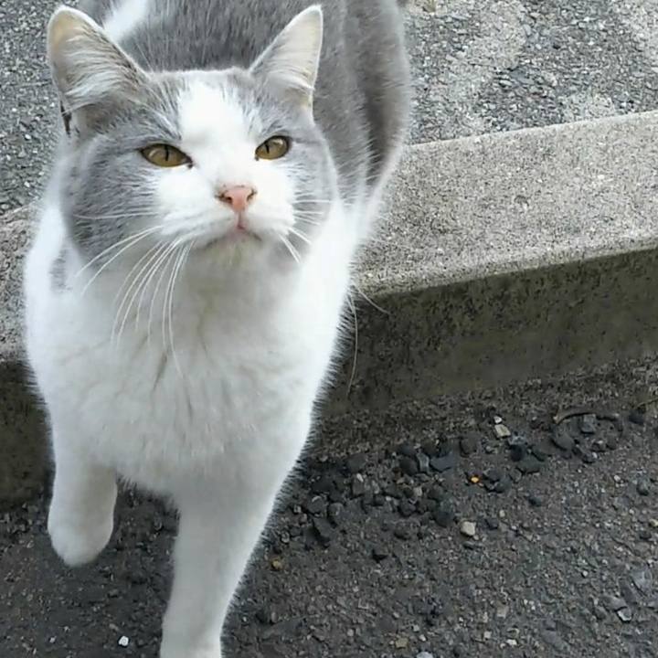 127717ea fd3a 4f01 ba91 d7c7a306a8b1 1523423145079