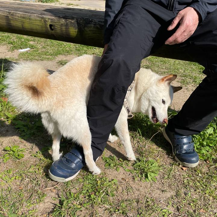 12771ba4 8a18 4e77 a199 1b0f7fe45a89 1649424919693