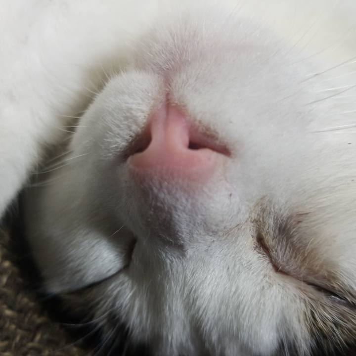 127721c8 5d3a 418c 8300 a2ce41da47a7 1579343868639