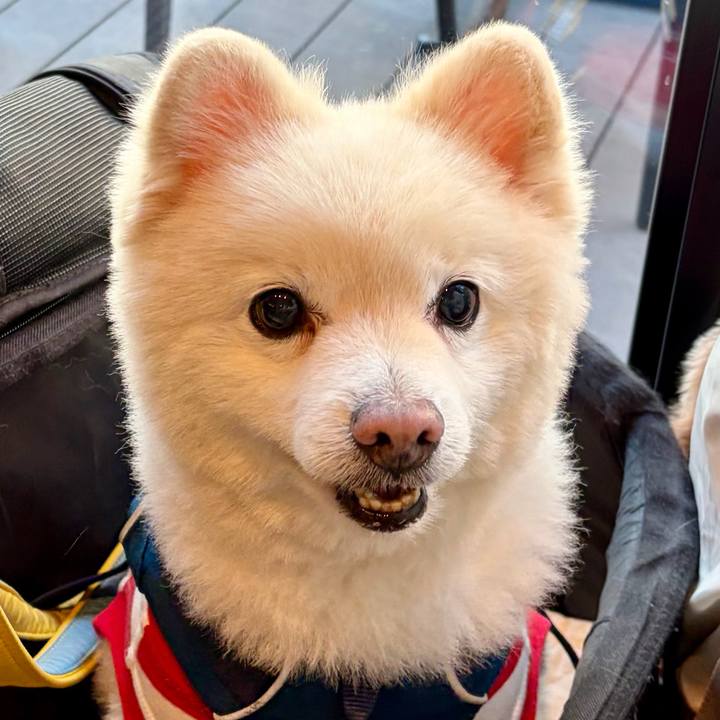 127750b9 61d0 433f 9eb9 dada2946de26 1770040942308