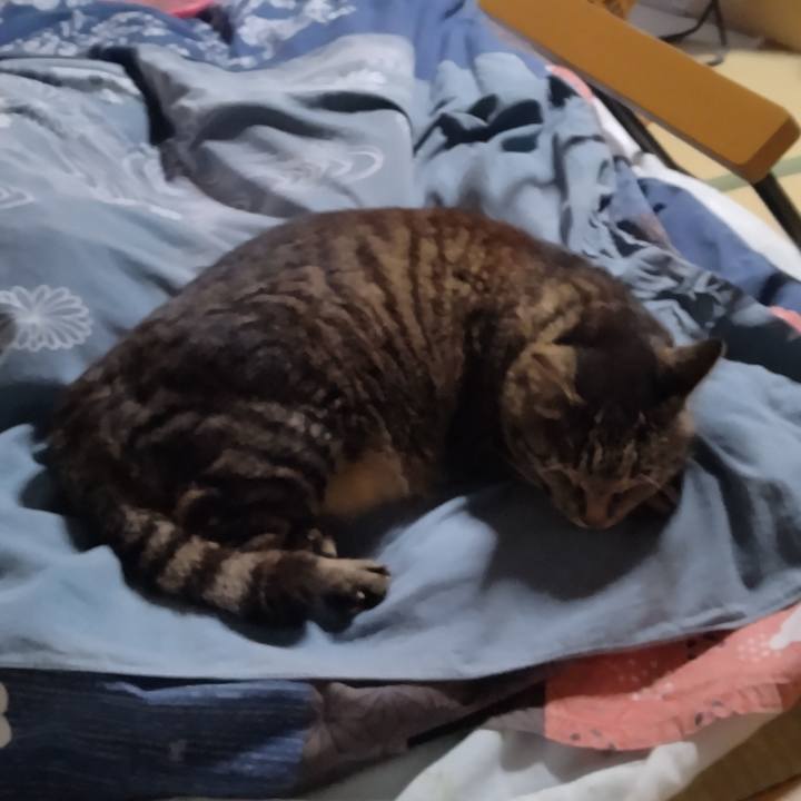 1277782b 5390 4c21 a5d1 ed88e75a4042 1718576076447