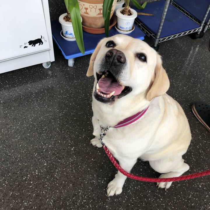 1277e721 8ca6 4d71 8c7a bc7541160654 1632962159418