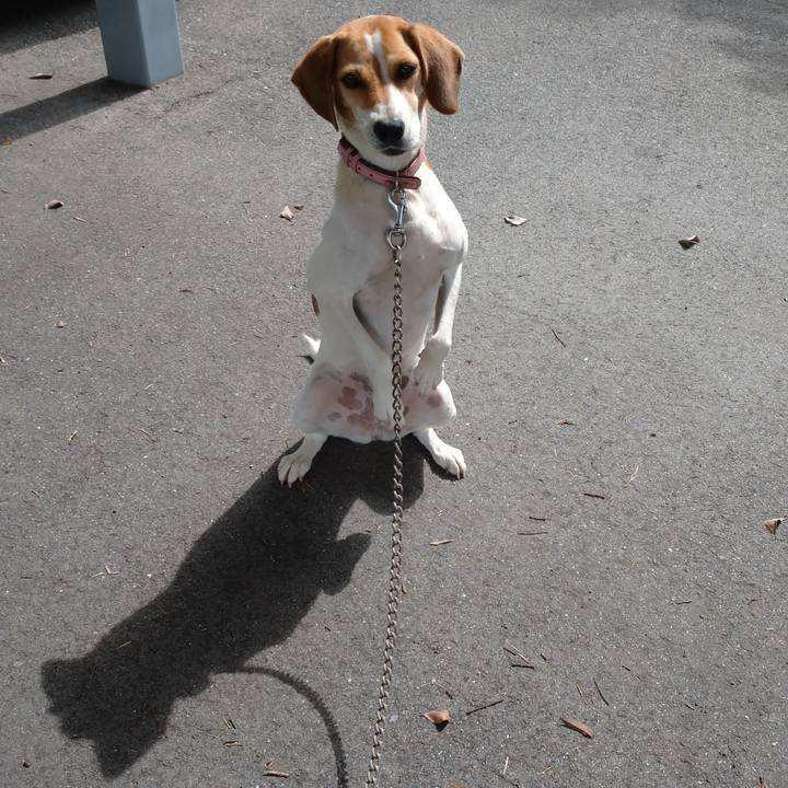 12784760 dcbb 4094 a0af d322f43bec89 1600048655864