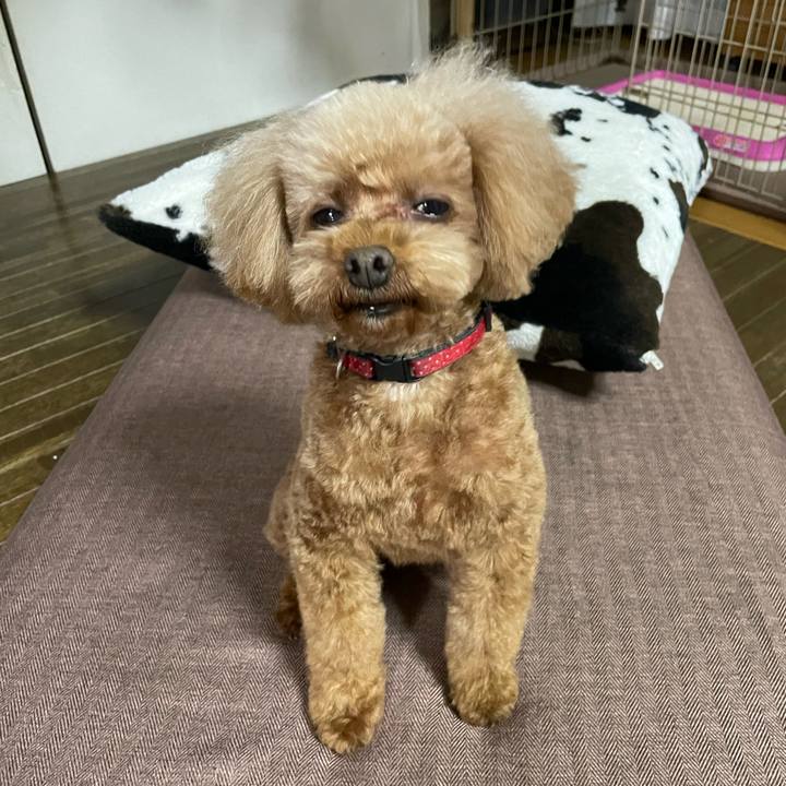 127850c3 0ed7 4605 95b6 b1f23387264f 1676190825781