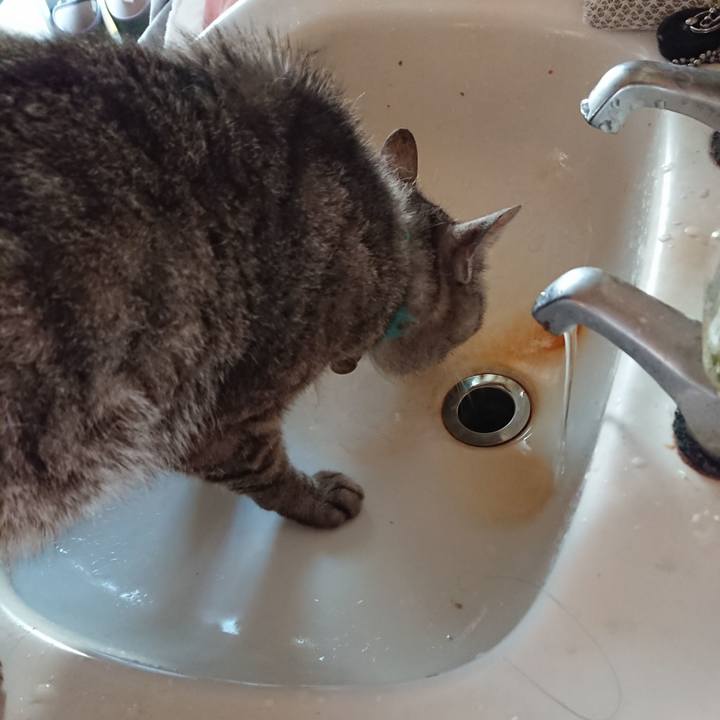 12788887 a83c 49f2 b731 f51fe71b8471 1564608970815