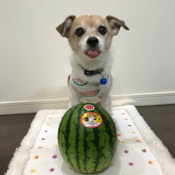 1278f8dc a0ec 49c3 ba70 a7e7ea0dfa90 1660706152927