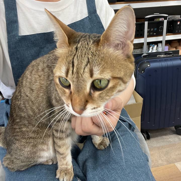 12794c3b 9611 4aa1 9a8c d7b7509cee50 1684917325560