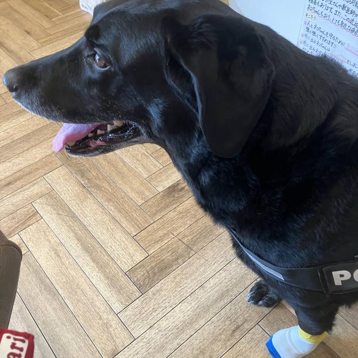 12797a42 fc4e 402d ad92 4e25960ce84a 1767580060350