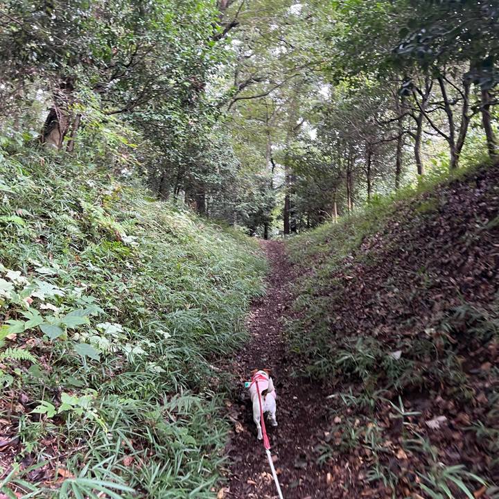 127984d7 b049 462b beeb 6a95b652a1a0 1760247303225