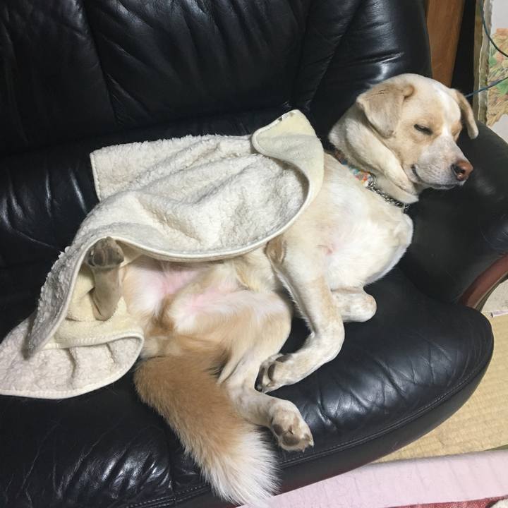 127989ad b043 4c64 b8bd 2e53eb44d4c6 1513568132707