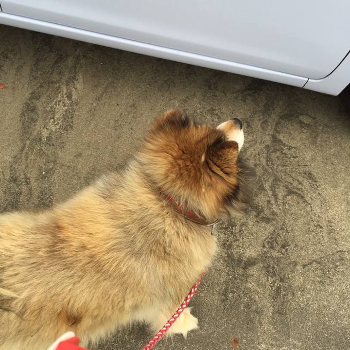 12798e0d f284 433f a7d9 b36904962537 1611465219299