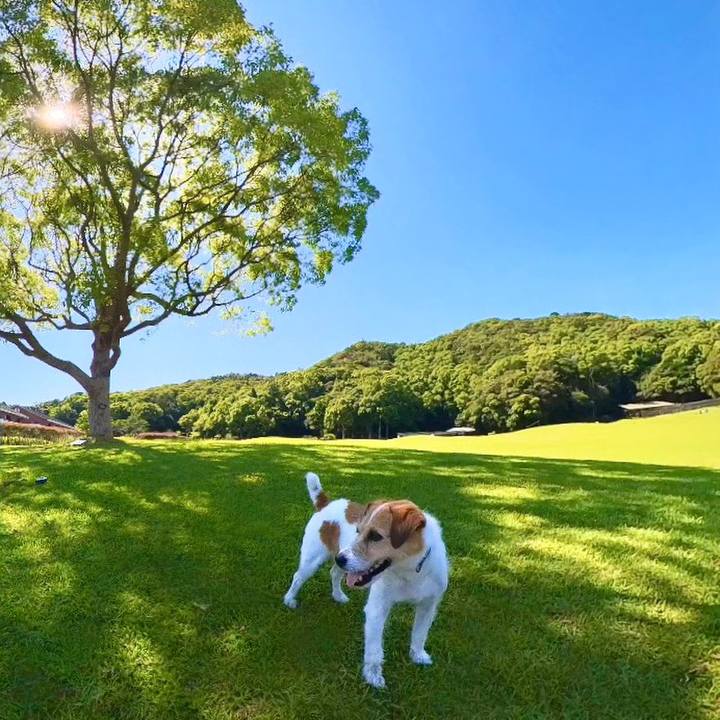 127999a0 7412 4e9d 95c4 274b978a6dbc 1718711104381