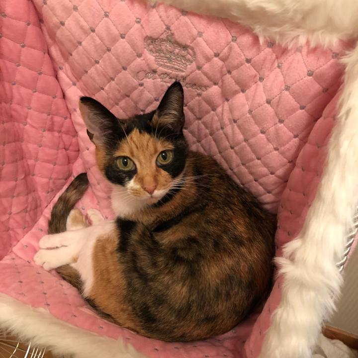 1279b10d 85b8 4ea8 9552 bd3247cf1a51 1536759246316