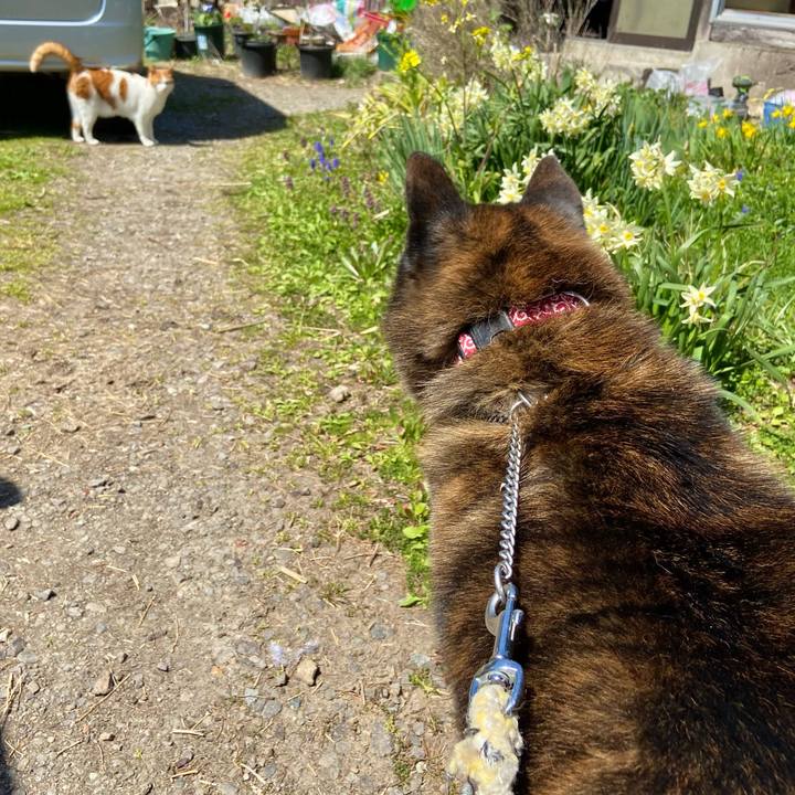 127a073f a194 4972 bfba 58f88f10fba2 1649490456550