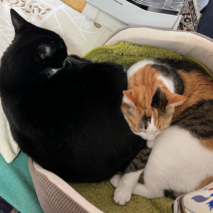 127a0df0 1c31 47dd a619 52eebf71d160 1773872974526