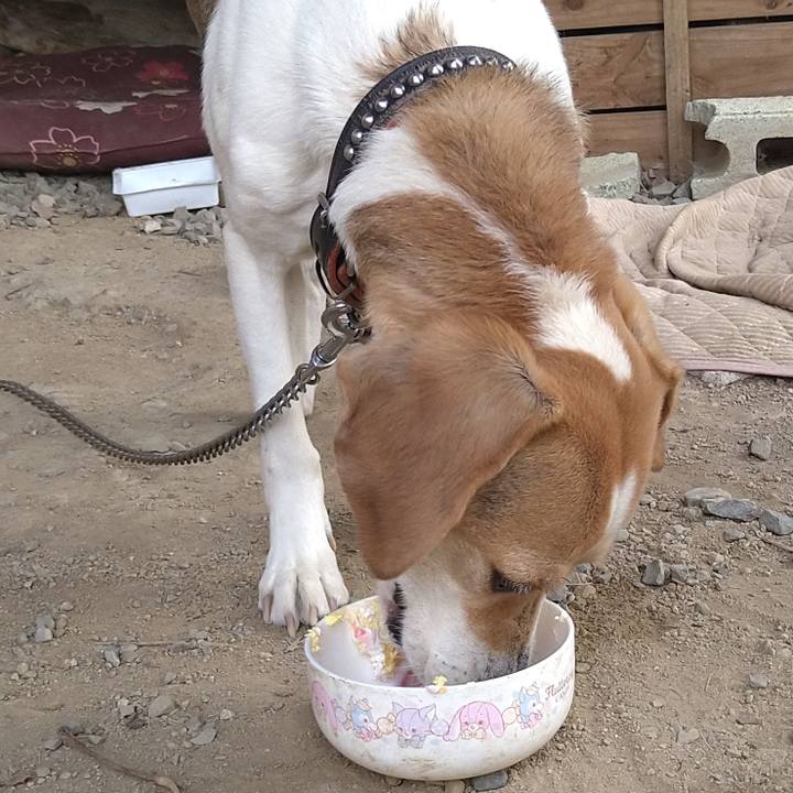 127a45e7 5253 4af3 ba2f dab454ccc93b 1650371772047