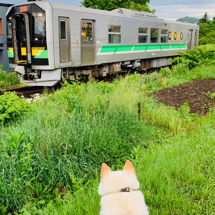 127a5992 0b84 4a9b b98f aa80055dabc3 1592426997409