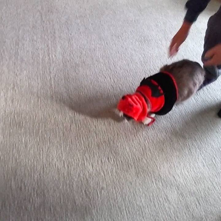 127a6b3c ec1e 49a9 b2e0 bc61bfd0ed91 1635663262565