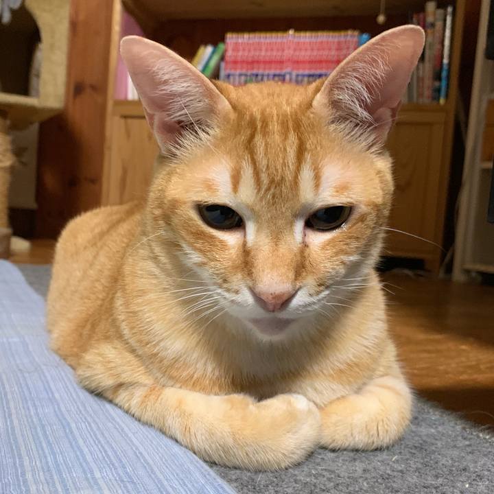 127a78ce 71ef 491d 9ee4 9bce1a15a726 1558017898022