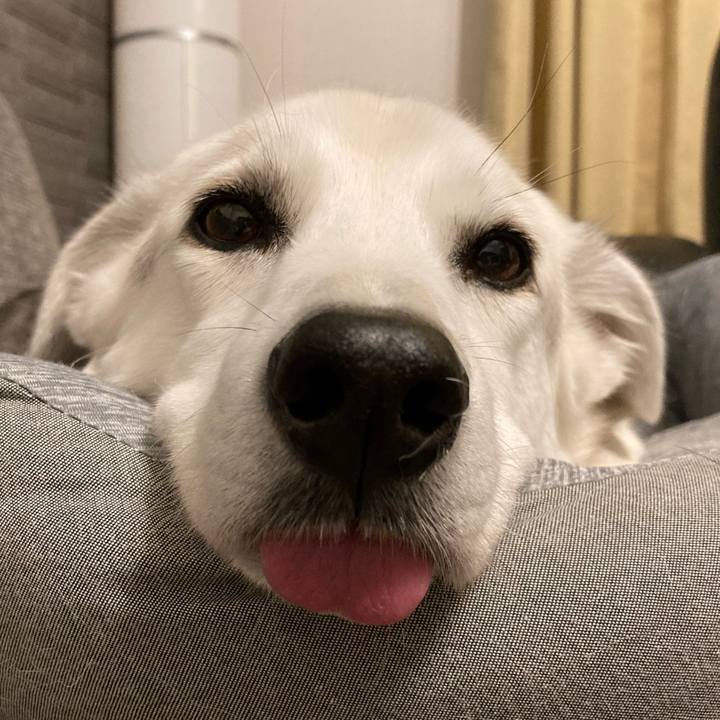 127a9d5f dbe6 46b6 9af4 c5d23656a246 1697379204955