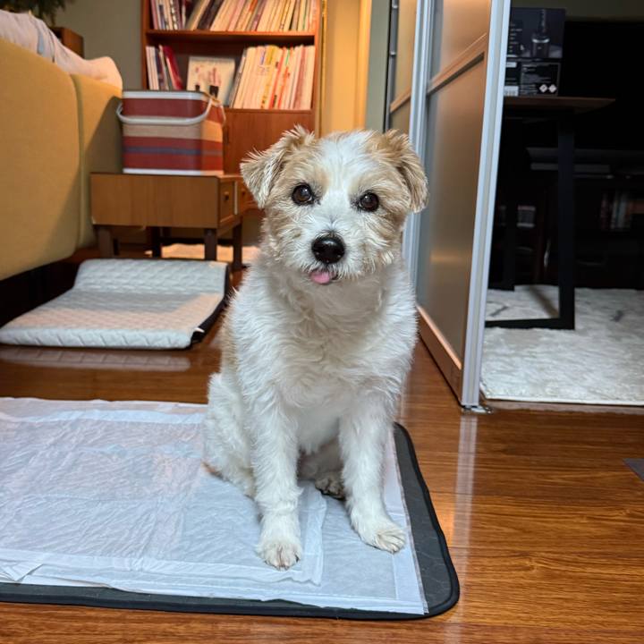 127ab713 2bb0 476d 8185 bdb32d32b524 1766410280705