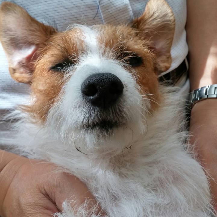 127ab9eb c5d6 422b a801 e71c91187baf 1538092678345