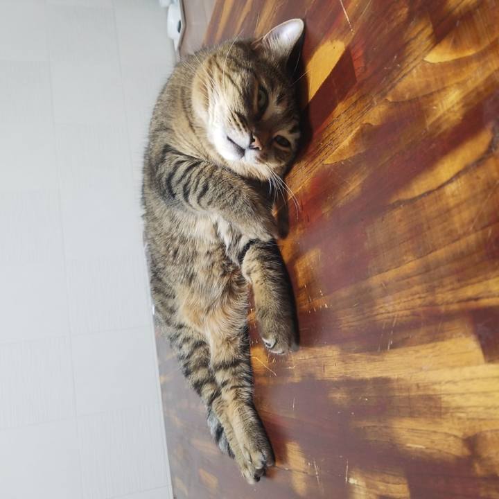 127aec4e 2f88 4f23 9da3 bc86d5d71307 1572989866163