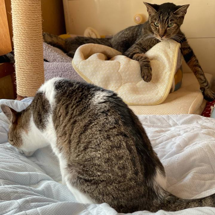 127b056f e160 406b 8188 6de5884e28ed 1631323749132