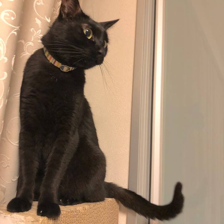 127b253e c8c0 48e7 8fd0 a629ff024d24 1526212437601