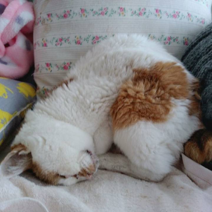 127b317e cdd0 4228 96f0 fb04a95fb66d 1609391495312