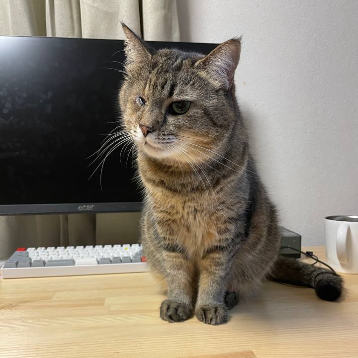 127b6c34 fd84 45ca a752 333bbfc6da8a 1631698355527