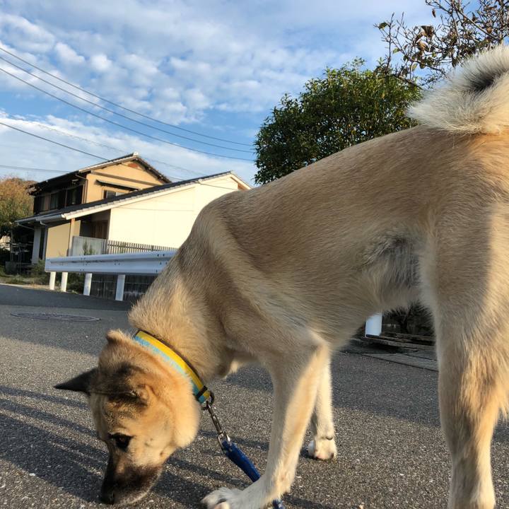 127ba02e aad8 41fa aba9 410615fc58b9 1569845641393