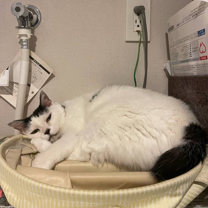 127bc104 0ceb 49d8 a36e 62f99dfcb5ad 1696390459847