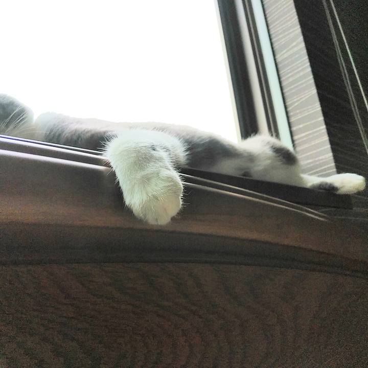 127bfdb5 3d62 4c4f 86bc 49bc3cd51353 1593129061770