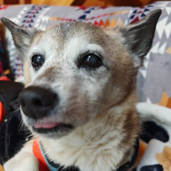 127c050d 7efb 4c3a 81fa dfef1de2bad9 1767181859023