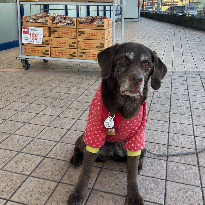 127c25a6 8791 49dc 8da8 7a84d52277f7 1770257658352