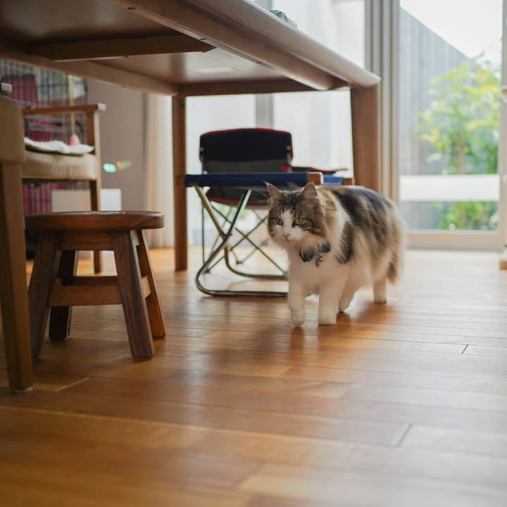 127c5f21 dd0d 4eef 89de 93b4ec96e90d 1622688322457