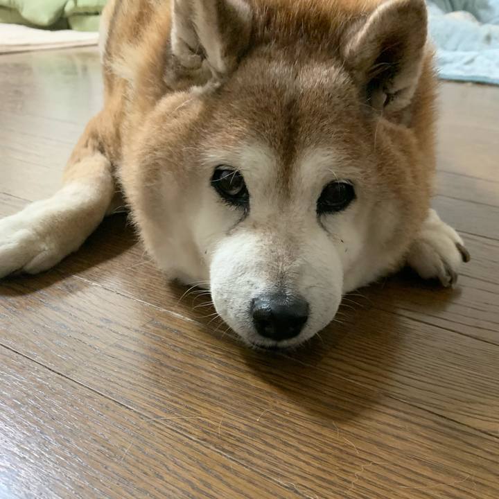 127c6150 e0c5 485c 9418 2aab0a433fb6 1617806892928