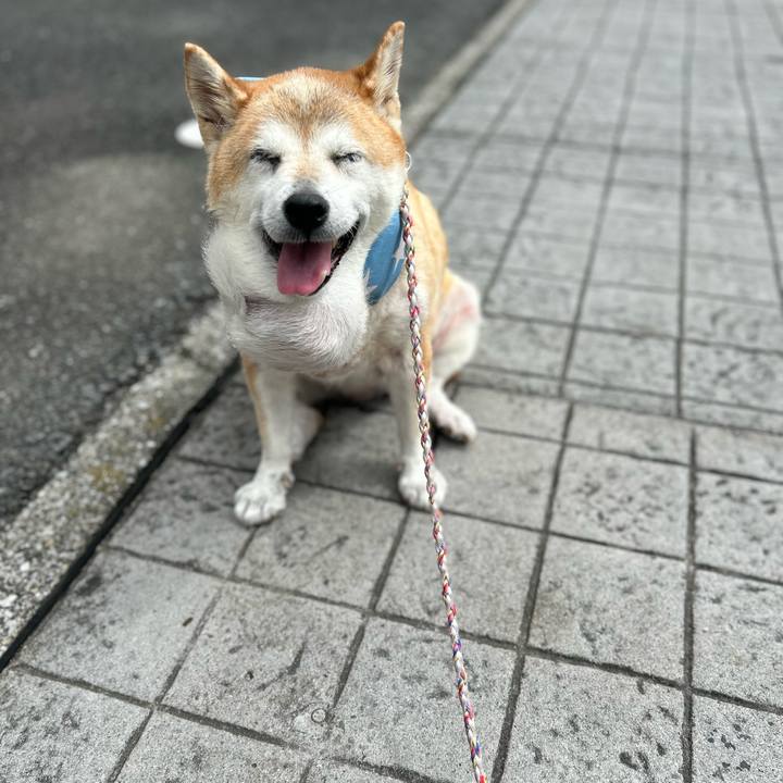 127c720a de12 4e00 959b 38c9b7c23341 1757730187888