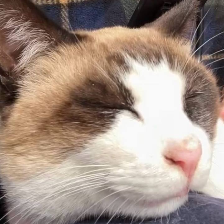 127c94ce 73be 4614 8ef6 f0c4637ce4fb 1736304505713