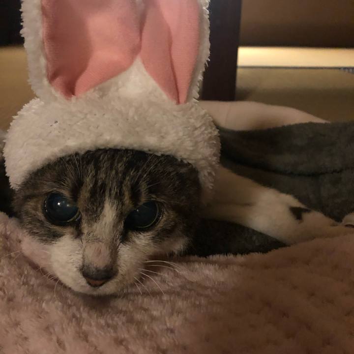 127ca32b adcc 4da1 81ec 1be607d40c61 1632229745890