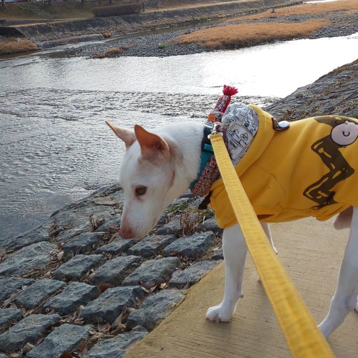 127ccf8f 09b7 4095 aa07 d52ab5d38a80 1550362108490