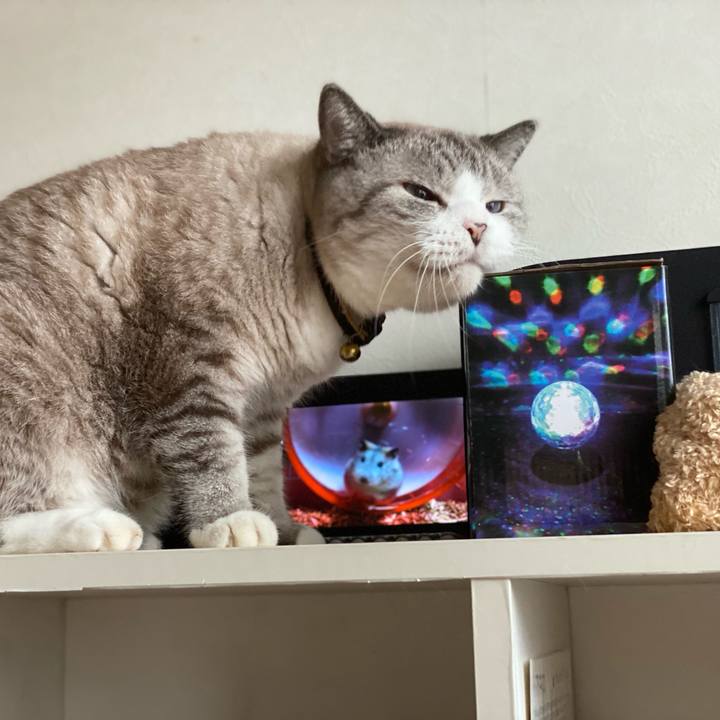 127cf4f3 1aa0 4434 bd4a 1580298d9e5f 1635386936988