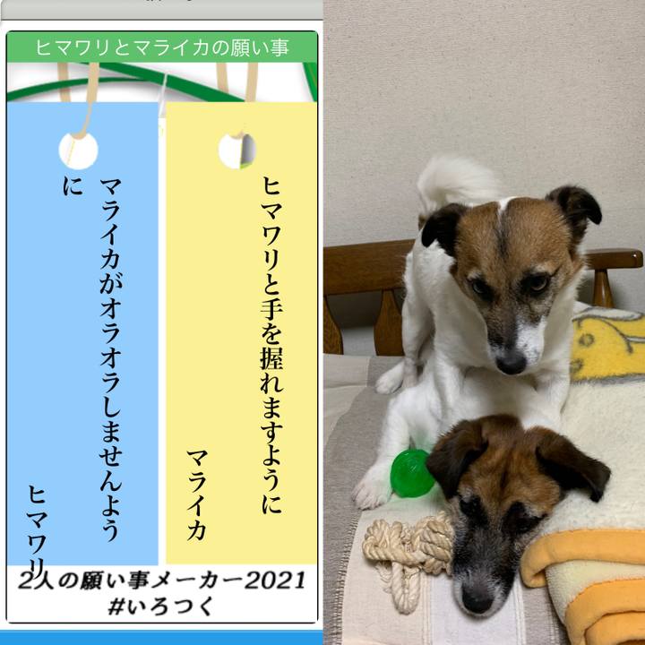 127d24af 7982 441a 8d3a d1ce386ec2c5 1625575084932