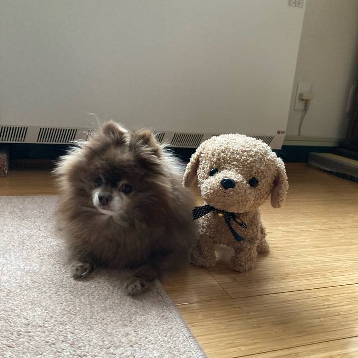 127d367a 00b9 4cc3 ab91 5d91ecad5fe0 1738452239976