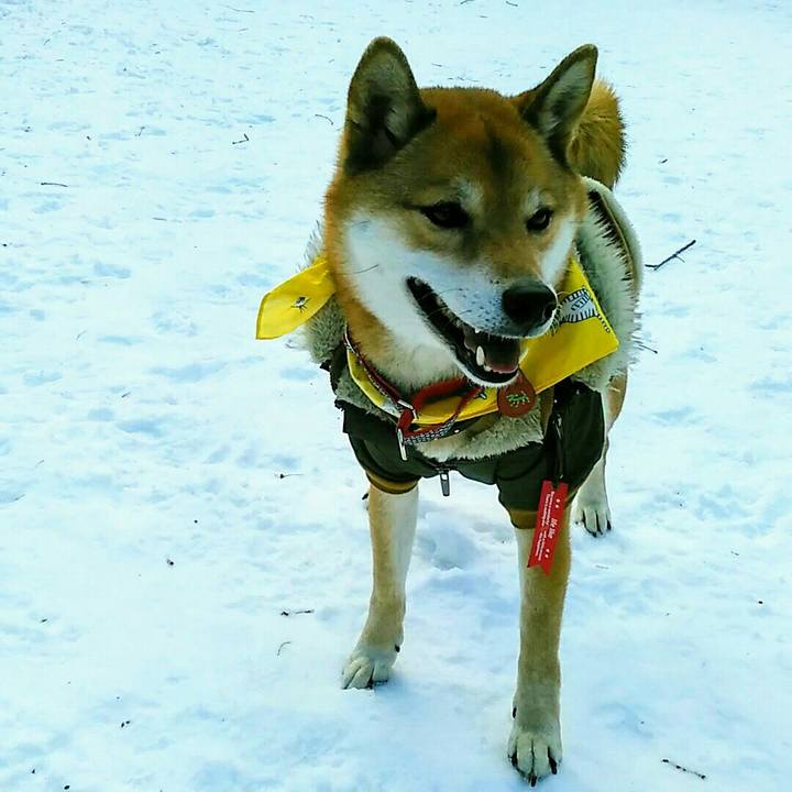 127d4886 f7bc 4513 a110 ec420c78e13c 1547382002005